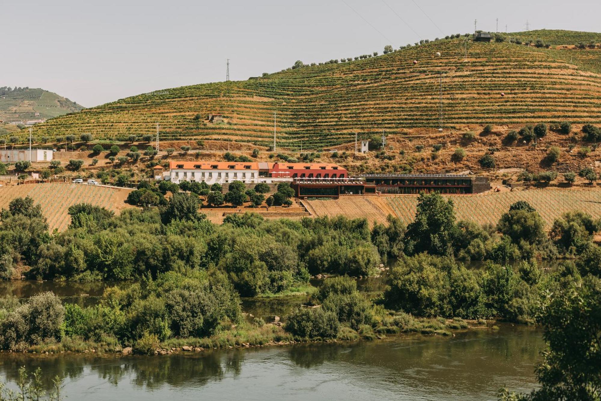 Torel Quinta Da Vacaria - Douro Valley Peso da Regua Bagian luar foto